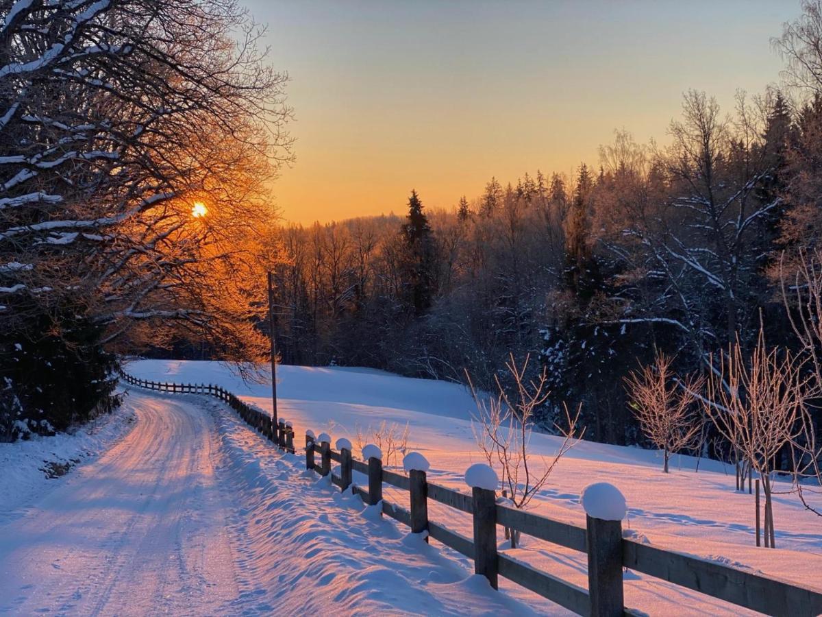 Mosku Pirts Meza Maja Villa Turaida Exteriör bild
