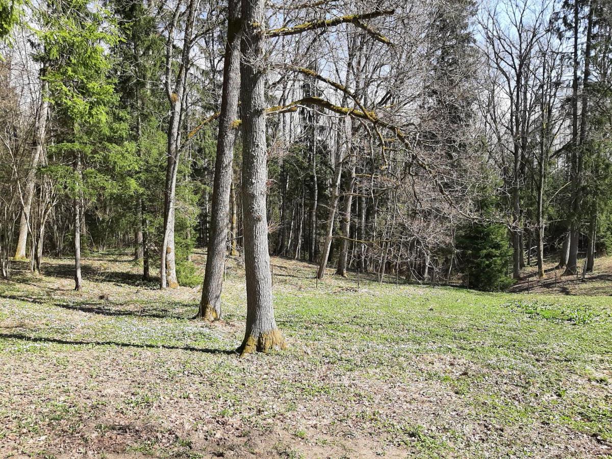 Mosku Pirts Meza Maja Villa Turaida Exteriör bild