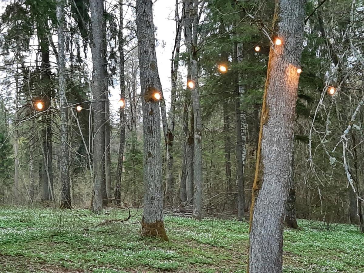 Mosku Pirts Meza Maja Villa Turaida Exteriör bild