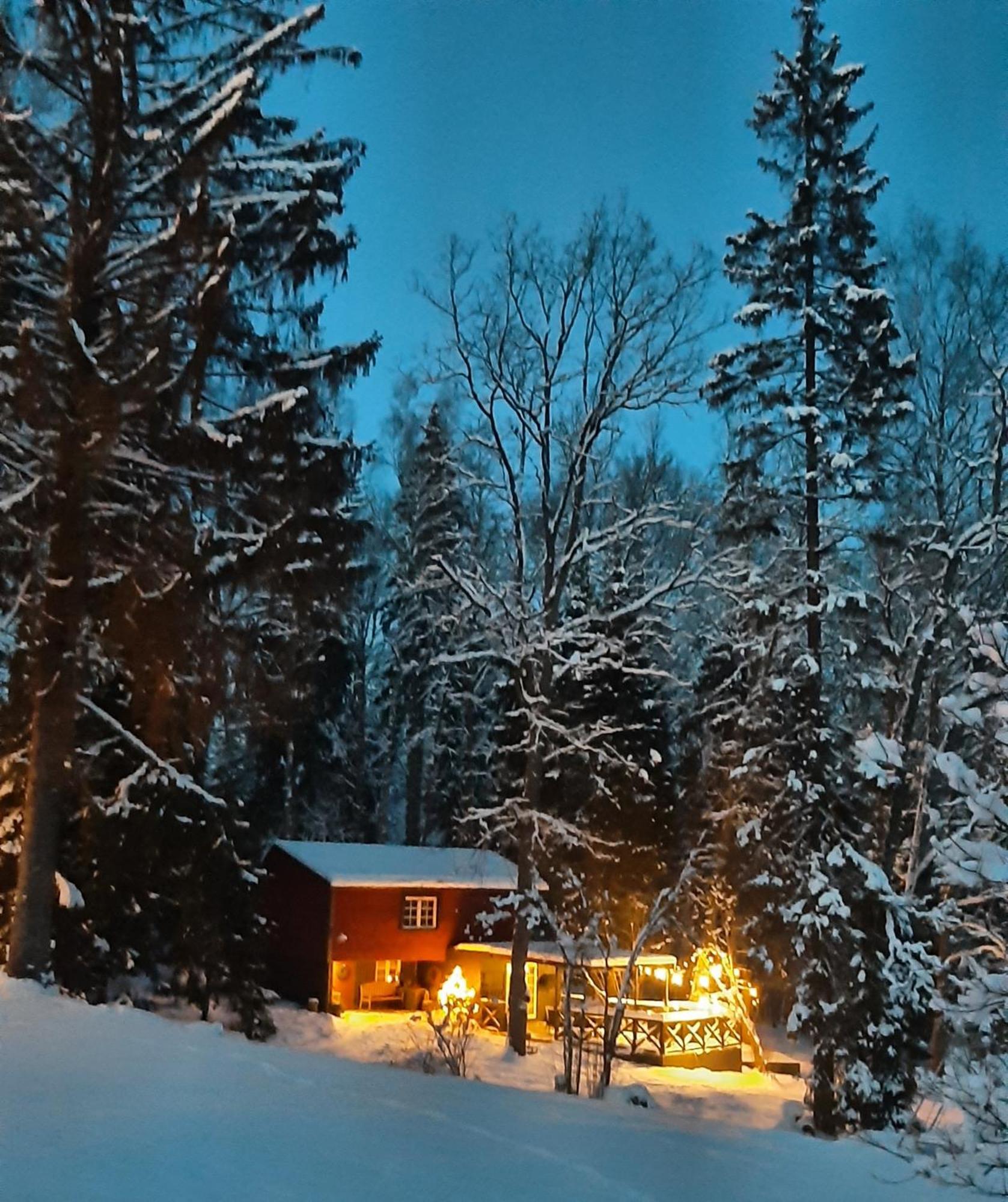 Mosku Pirts Meza Maja Villa Turaida Exteriör bild