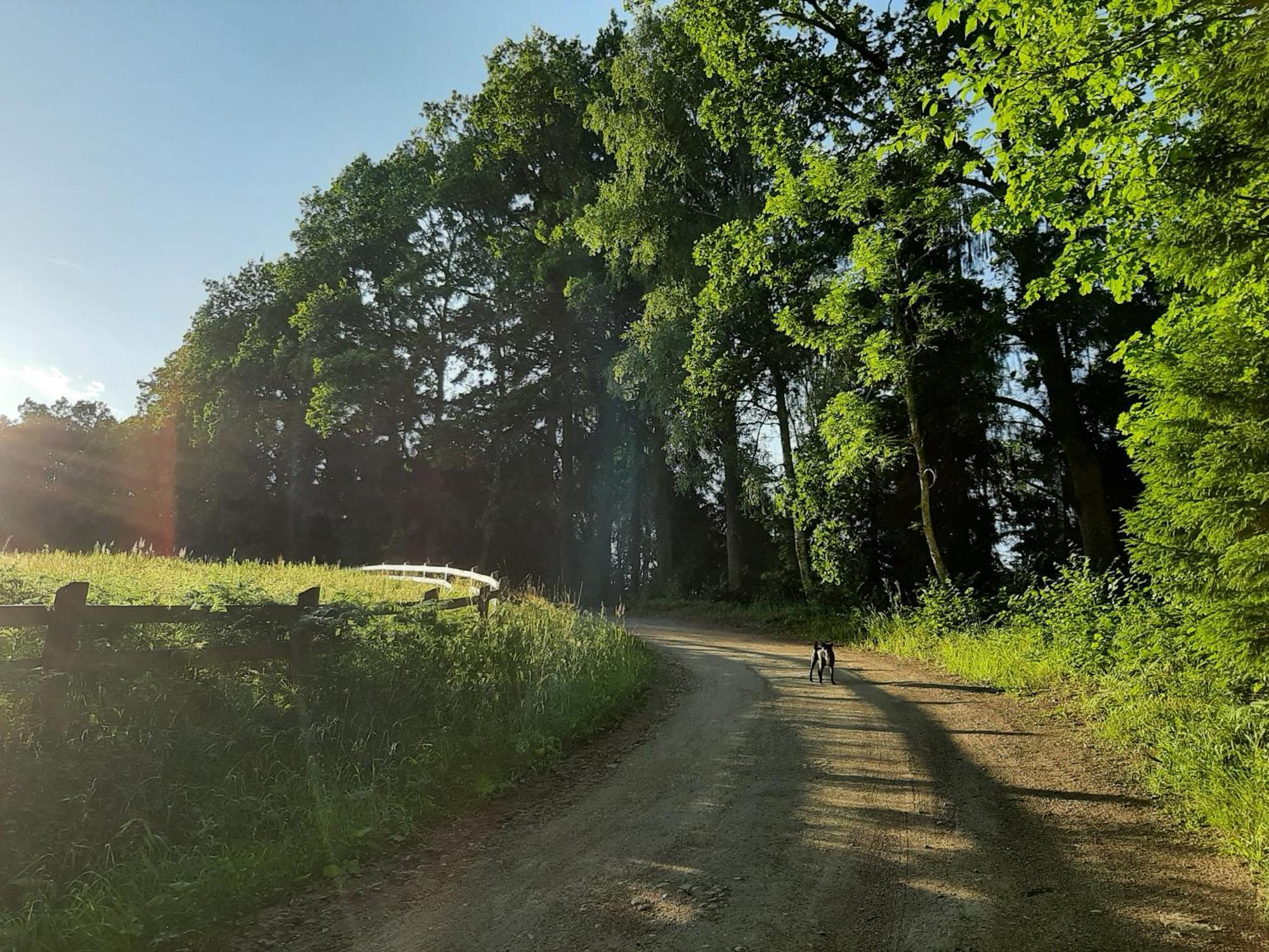 Mosku Pirts Meza Maja Villa Turaida Exteriör bild