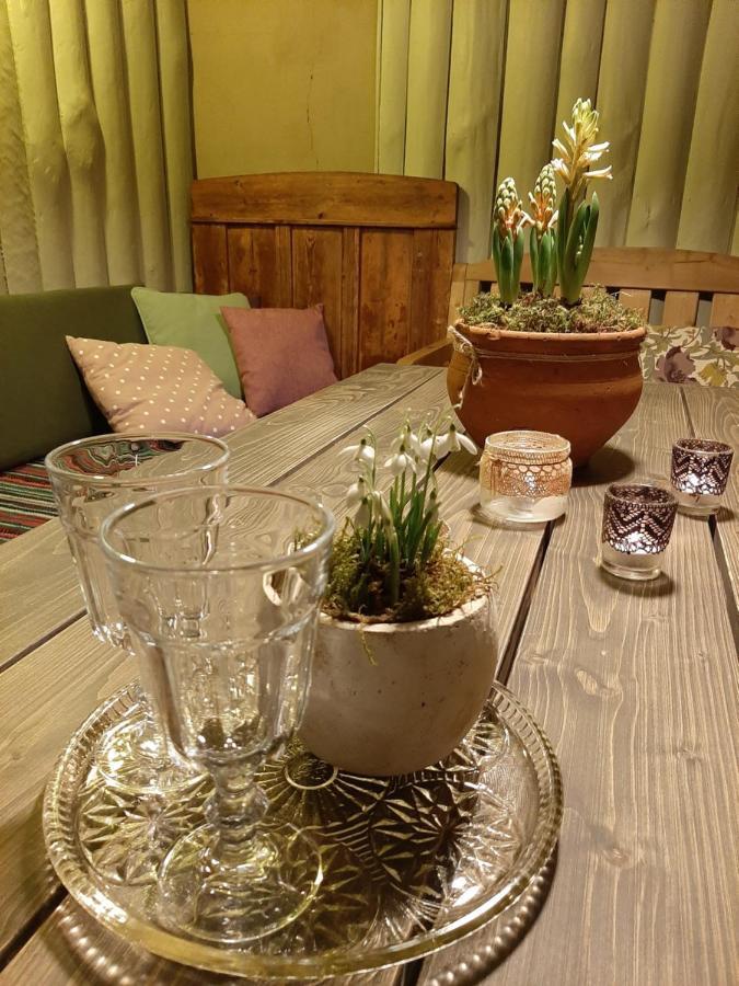 Mosku Pirts Meza Maja Villa Turaida Exteriör bild